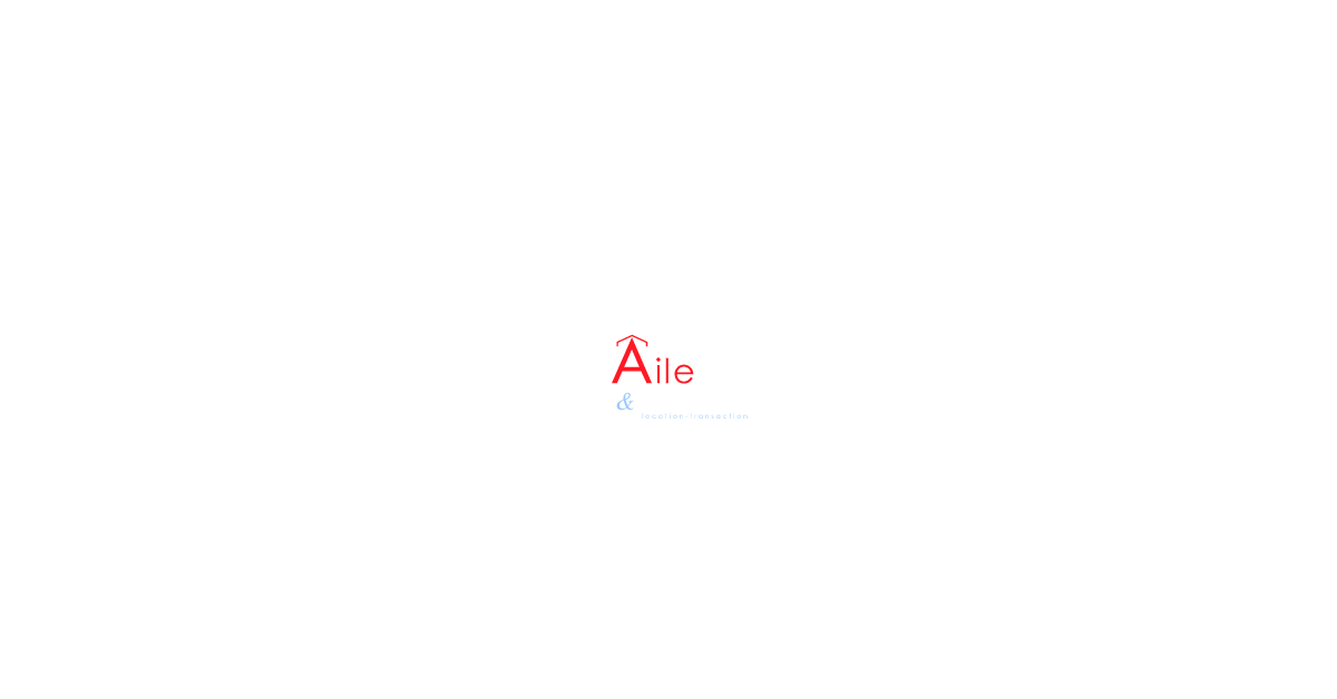 Logo de l'agence Aile immobilier